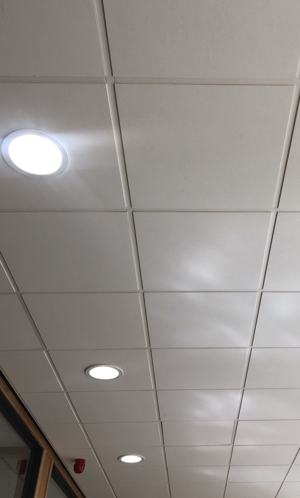 Acoustic ceiling grid